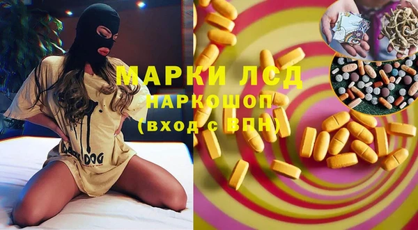 ECSTASY Богданович